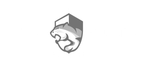 A.W. Puma Home Services