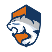 A.W. Puma Home Services