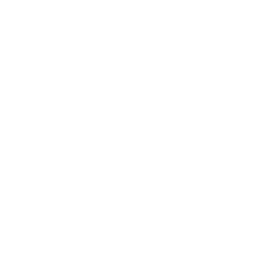 Secure Fence & Gate